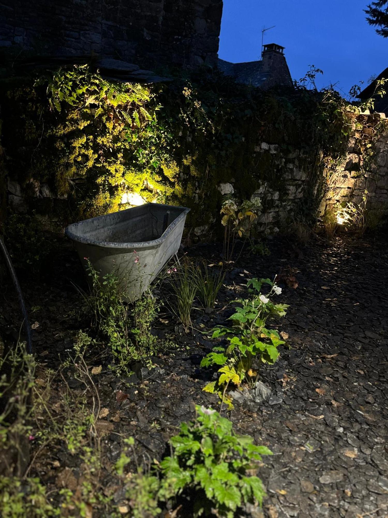 Le Dourdou Del Traouc Villa Bozouls Eksteriør billede
